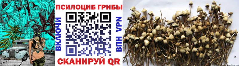 Псилоцибиновые грибы GOLDEN TEACHER  где купить наркотик  гидра онион  Куса 